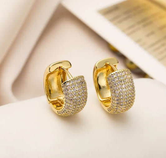 Swarovski Shine Hoops
