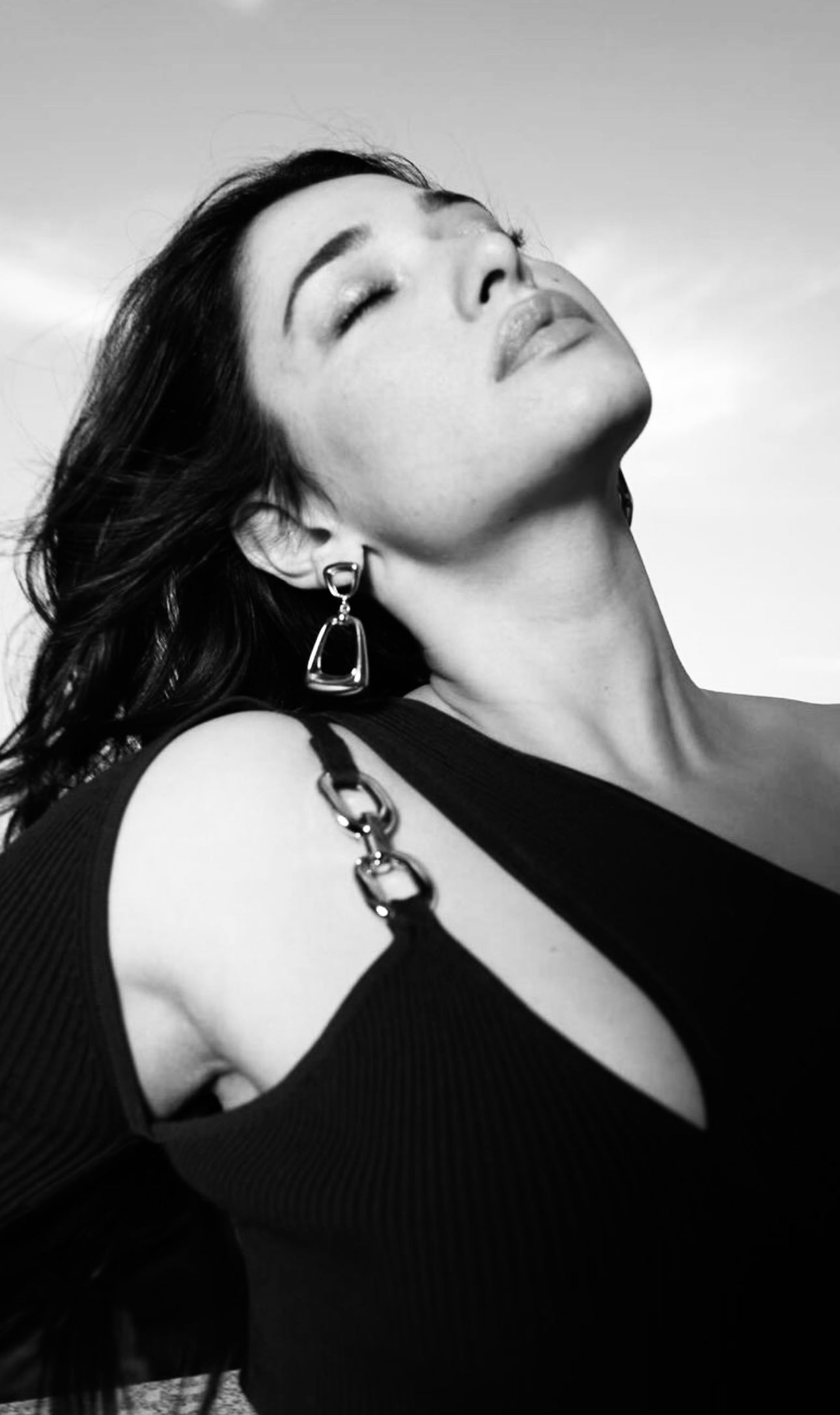 Celebrity SIlver Tamanna