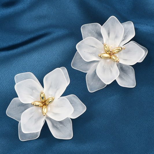 Korean White Daisy