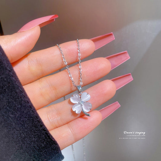 White Lucky Flower